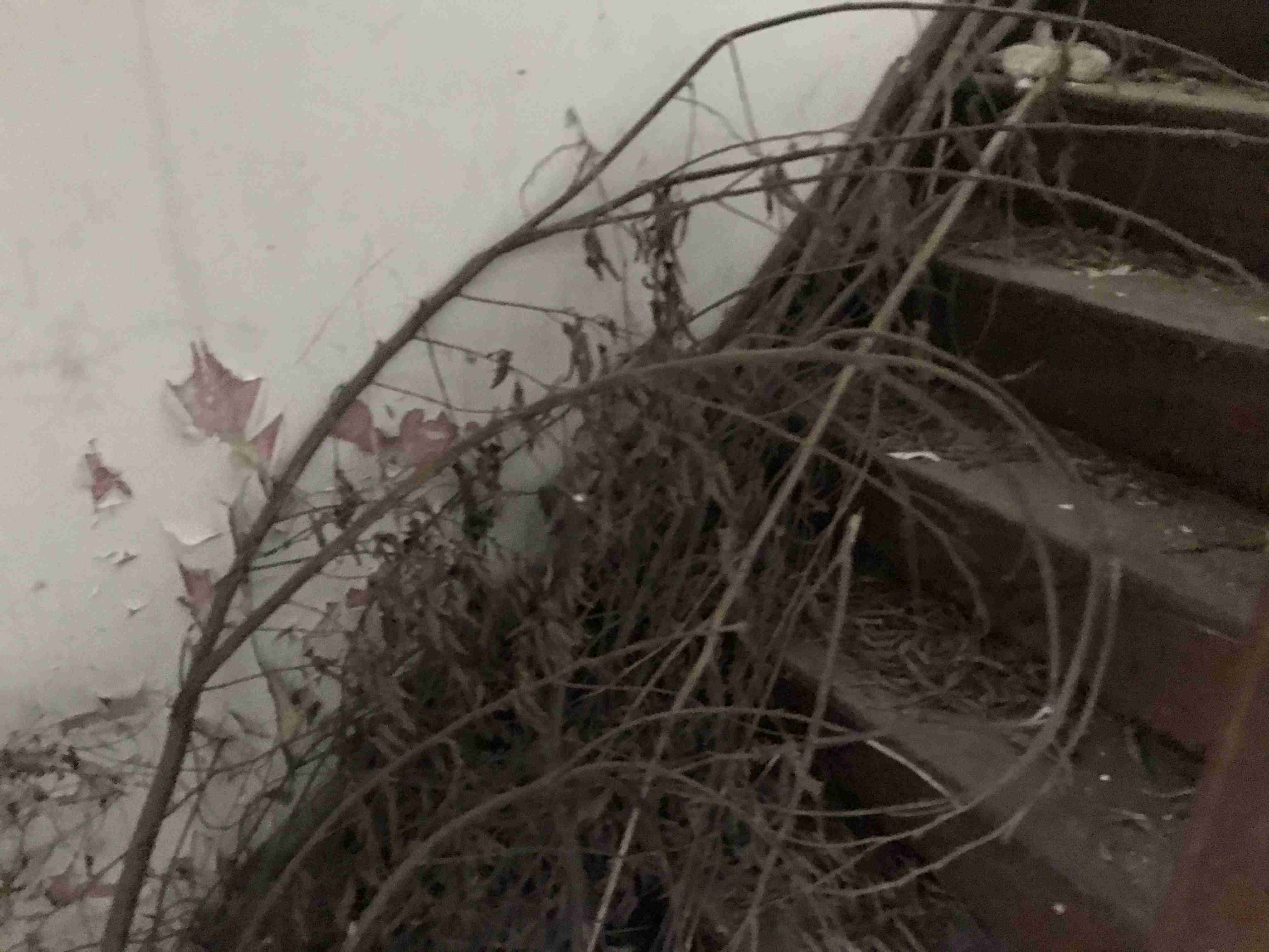 Photo Sep 10, 2 11 12 PM.jpg